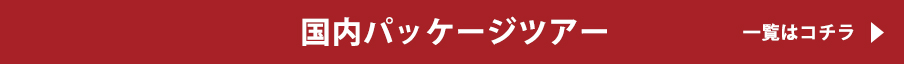 国内パッケージツアー